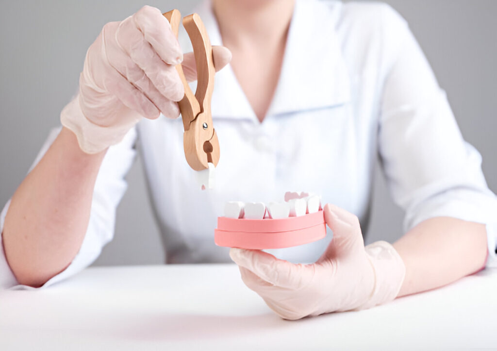 Dentist using wooden pliers on dental model, wearing white gloves and coat.